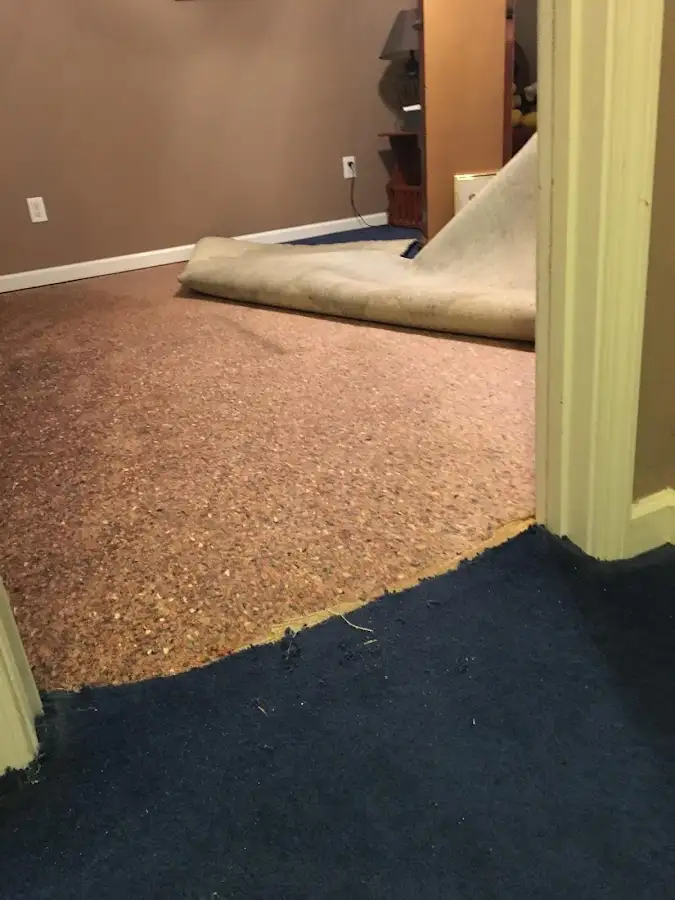 Carpet pad removal revealing water damage during Drying & Dehumidification in Holiday