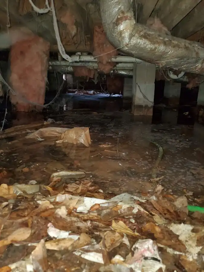 Crawl space flood assessment for Commercial Water Damage Restoration in Holiday
