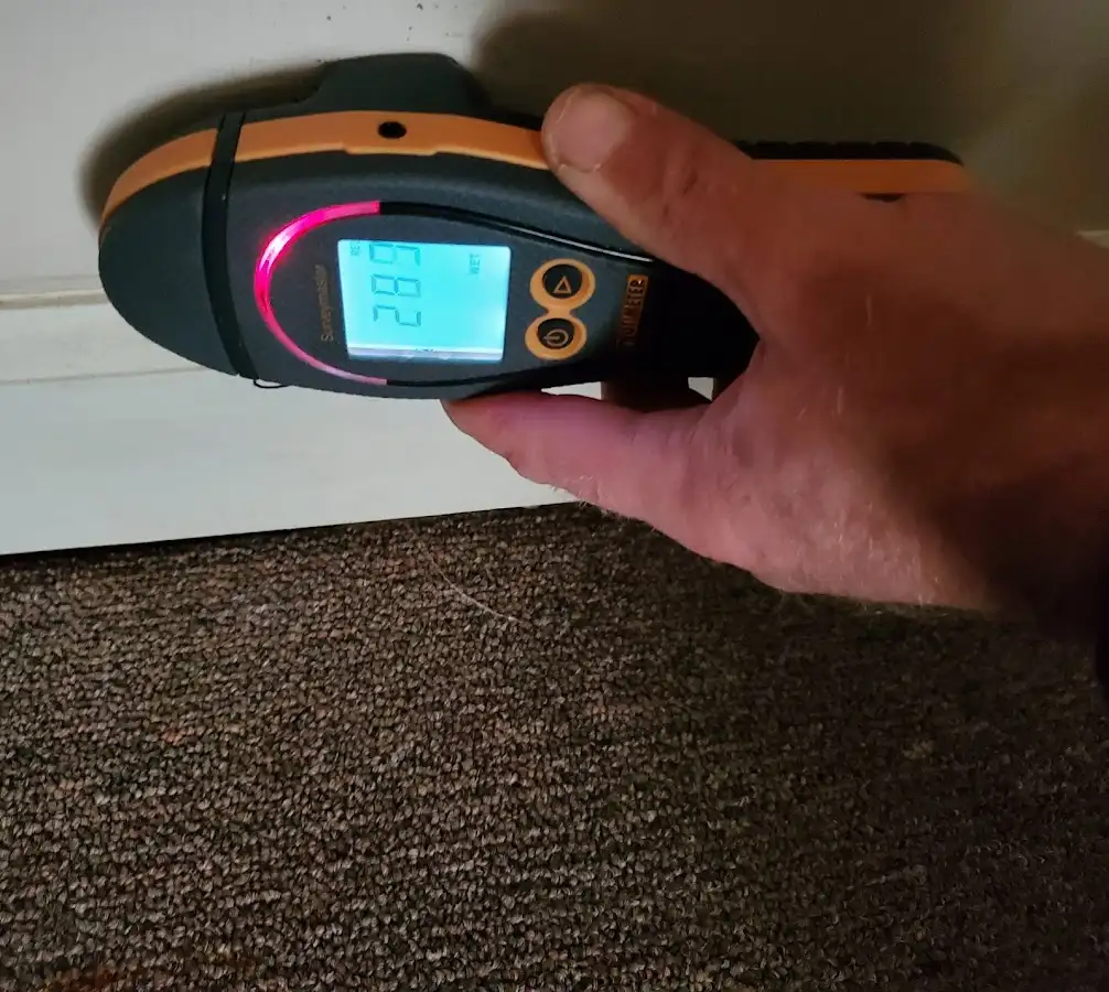 Moisture detection at baseboard during Mold Inspection & Testing in Holiday